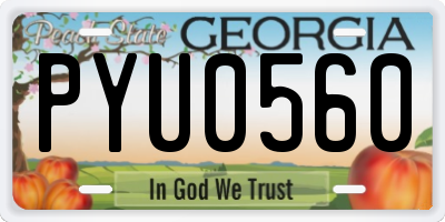 GA license plate PYU0560