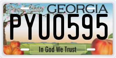 GA license plate PYU0595