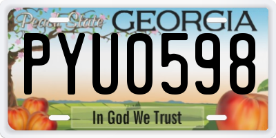 GA license plate PYU0598