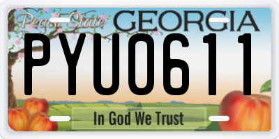 GA license plate PYU0611