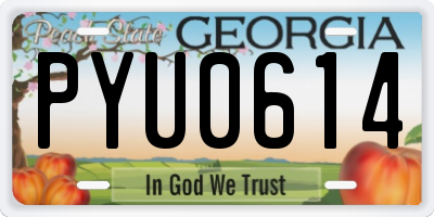 GA license plate PYU0614