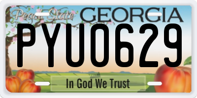 GA license plate PYU0629