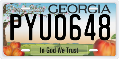 GA license plate PYU0648