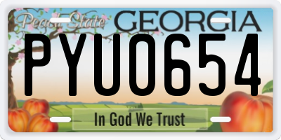 GA license plate PYU0654