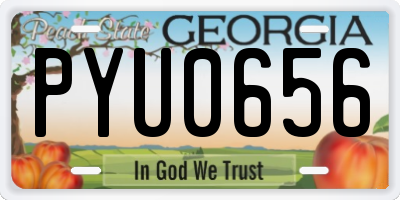 GA license plate PYU0656
