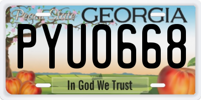 GA license plate PYU0668