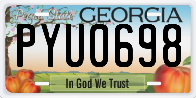 GA license plate PYU0698