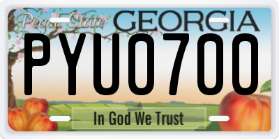 GA license plate PYU0700