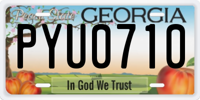 GA license plate PYU0710