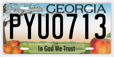 GA license plate PYU0713
