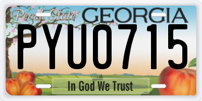 GA license plate PYU0715