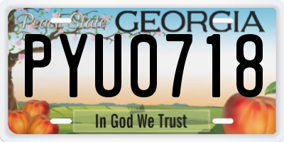 GA license plate PYU0718