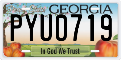 GA license plate PYU0719