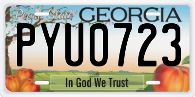 GA license plate PYU0723