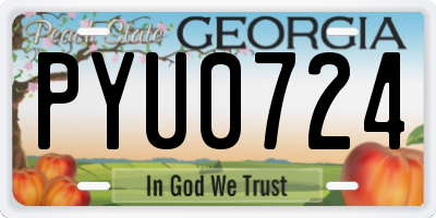 GA license plate PYU0724