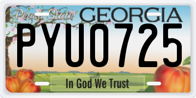 GA license plate PYU0725