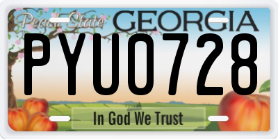 GA license plate PYU0728