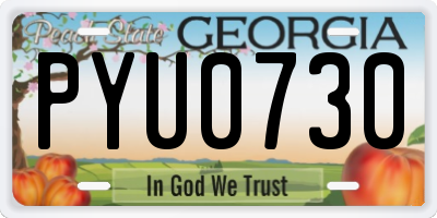 GA license plate PYU0730