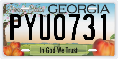 GA license plate PYU0731