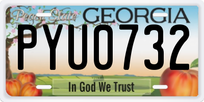 GA license plate PYU0732