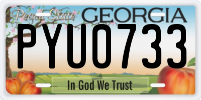 GA license plate PYU0733