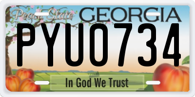 GA license plate PYU0734