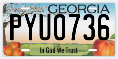 GA license plate PYU0736