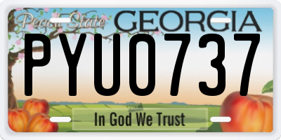 GA license plate PYU0737