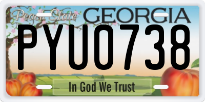 GA license plate PYU0738