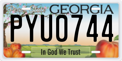 GA license plate PYU0744
