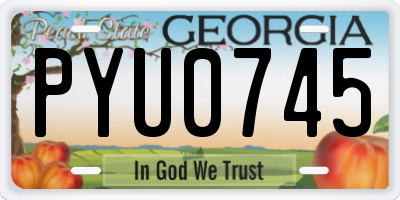 GA license plate PYU0745