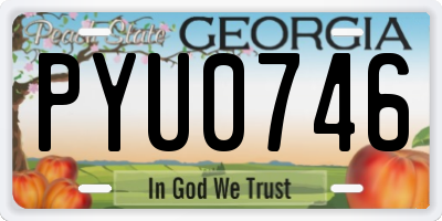 GA license plate PYU0746