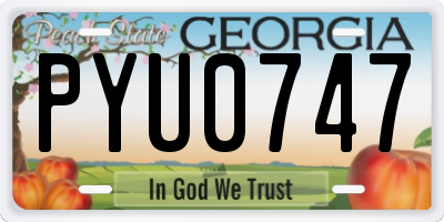 GA license plate PYU0747