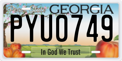 GA license plate PYU0749