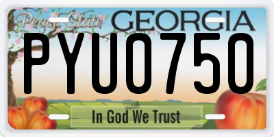 GA license plate PYU0750