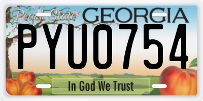 GA license plate PYU0754
