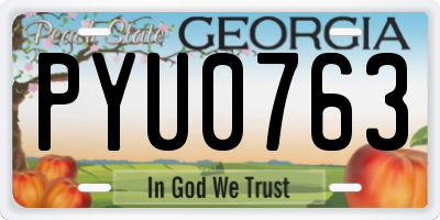 GA license plate PYU0763