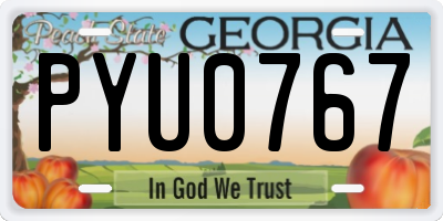 GA license plate PYU0767