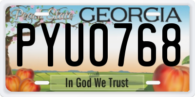 GA license plate PYU0768