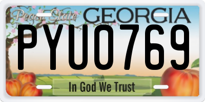 GA license plate PYU0769