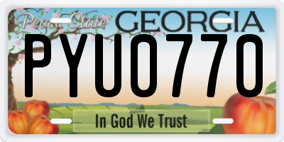 GA license plate PYU0770