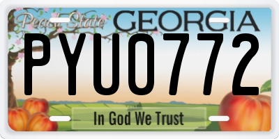 GA license plate PYU0772