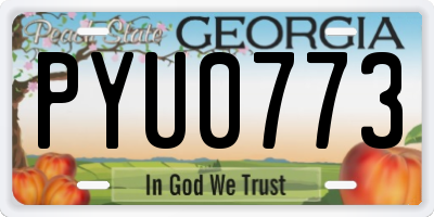 GA license plate PYU0773