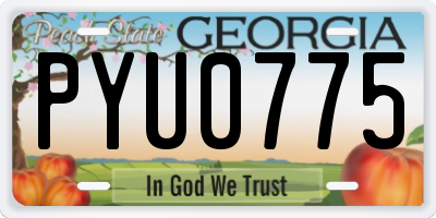 GA license plate PYU0775