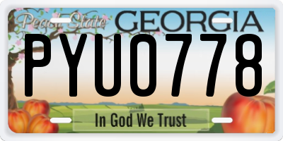 GA license plate PYU0778