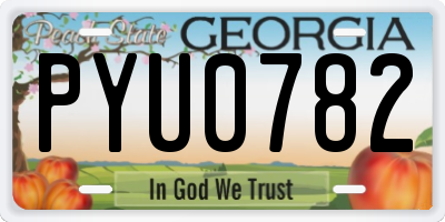 GA license plate PYU0782
