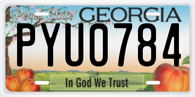 GA license plate PYU0784