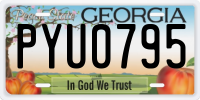 GA license plate PYU0795