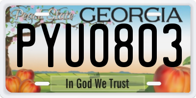GA license plate PYU0803