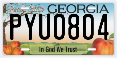 GA license plate PYU0804